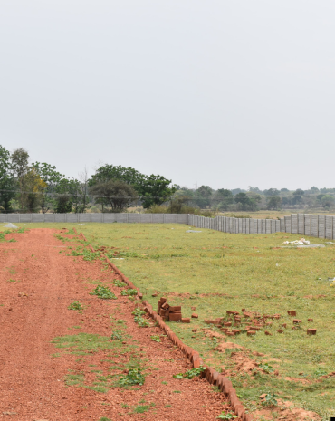 untitled design (65)