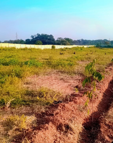 untitled design (69)