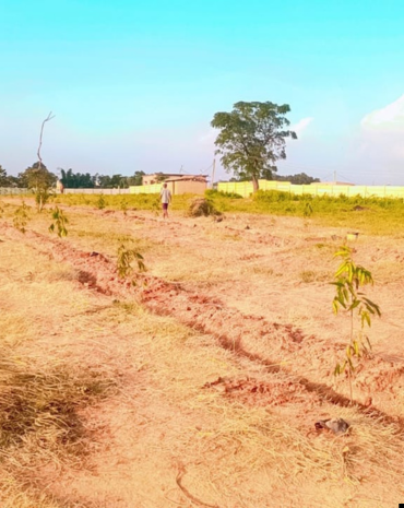 untitled design (71)