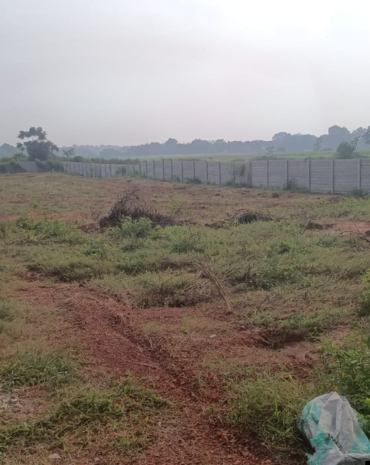 untitled design (73)