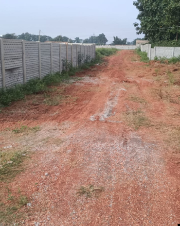 untitled design (74)